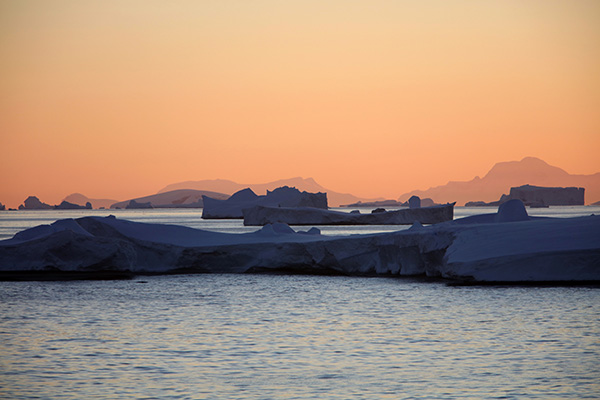 联合国确认：南极大陆去年曾录得18.3℃创纪录高温
