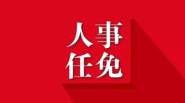 陕西发布一批人事任命 徐刚为陕西省人民政府办公厅副主任 