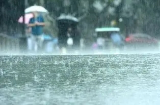 陕西多地暴雨！勉县220毫米强降水量24小时排全国第一