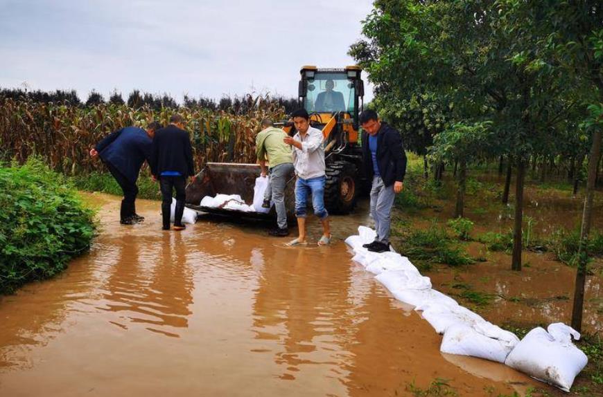 周至县渭中村二组沙河水漫堤淹了上百亩猕猴桃地 村民：猕猴桃还没卖