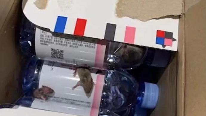 杭州消费者网购矿泉水箱中现2只活老鼠 天猫超市紧急致歉