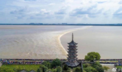 八月十八观钱江潮游客量趋饱和 海宁盐官景区建议择日再去