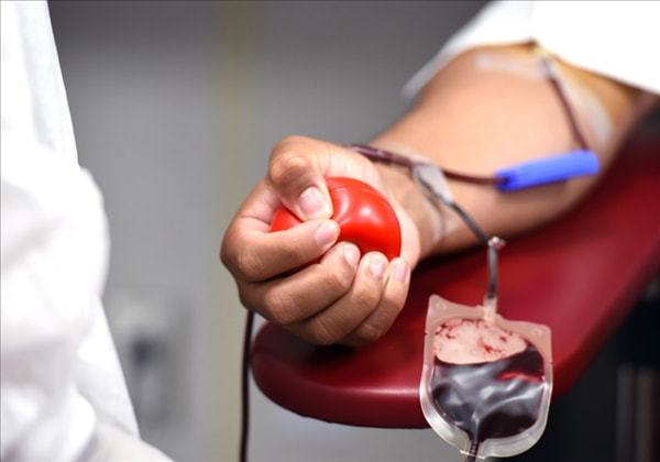 全国电子无偿献血证上线新功能：这下没遗憾了