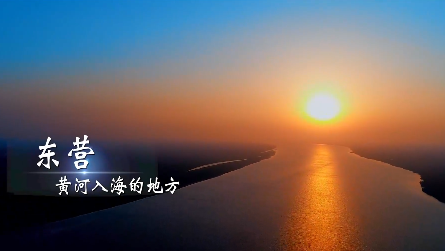 微视频 | 黄河从这里入海