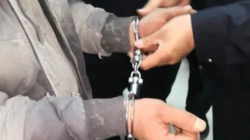 宁夏居民发“狗狗警察”表情包被拘9天 民警：是对我们职业的侮辱