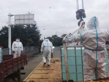 hQkptTt4M8yp2he7.png image.png