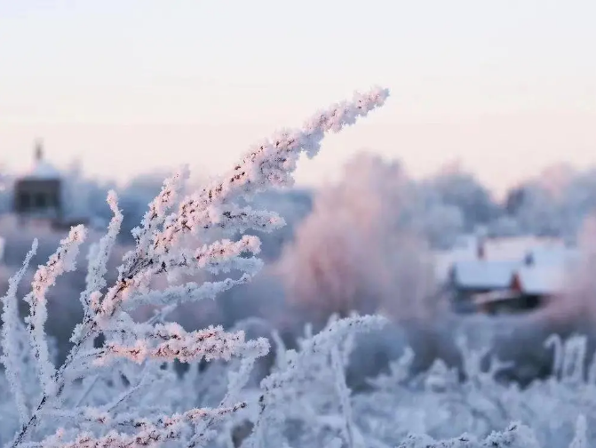 Hip0PpWHxlUAPF1b.png image.png