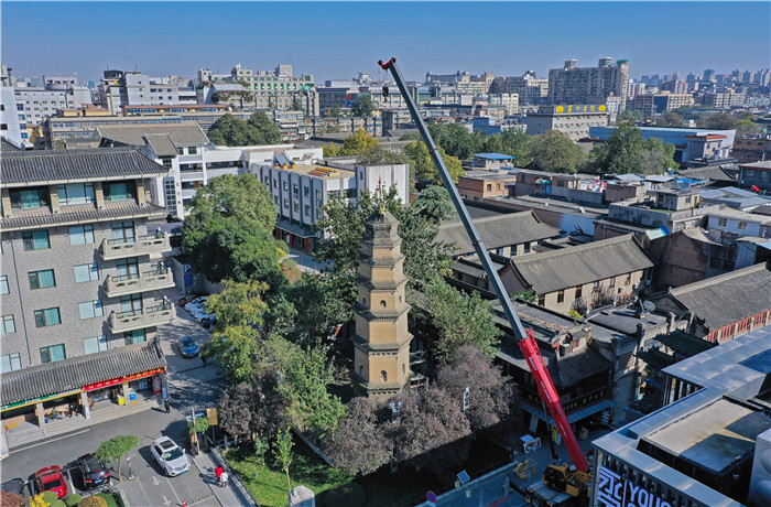 西安宝庆寺古塔上长了树恐对保护不利 市民反映后已被清理