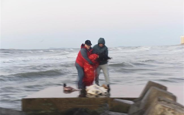 两教授海边拍日落轻生女孩入镜 一组照片记录施救全过程