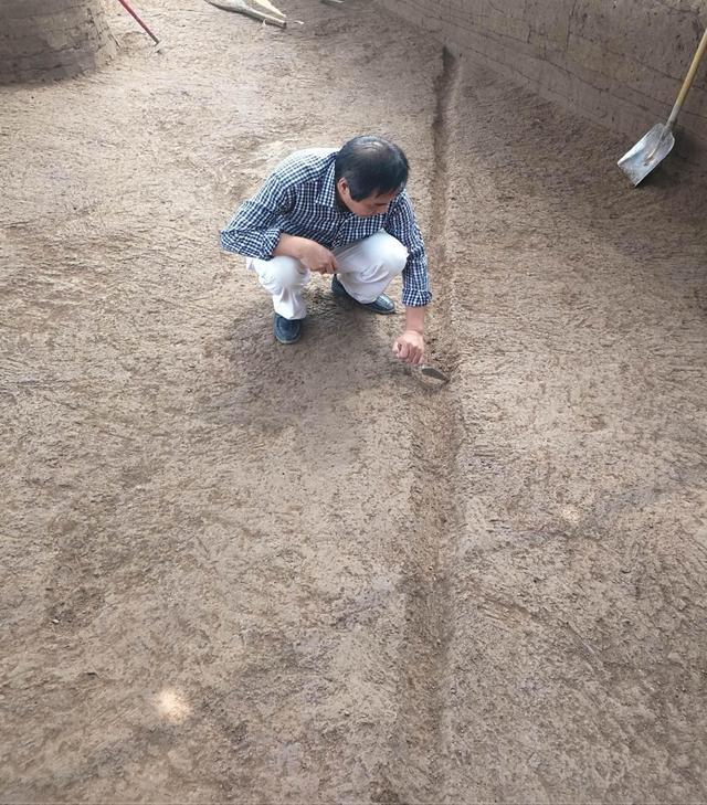 考古新发现！镐京遗址首次发现西周道路遗迹