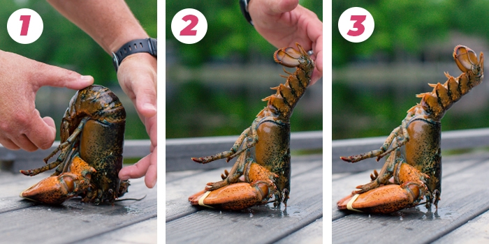 英国一家烹饪网站介绍的龙虾“催眠法”。  资料图