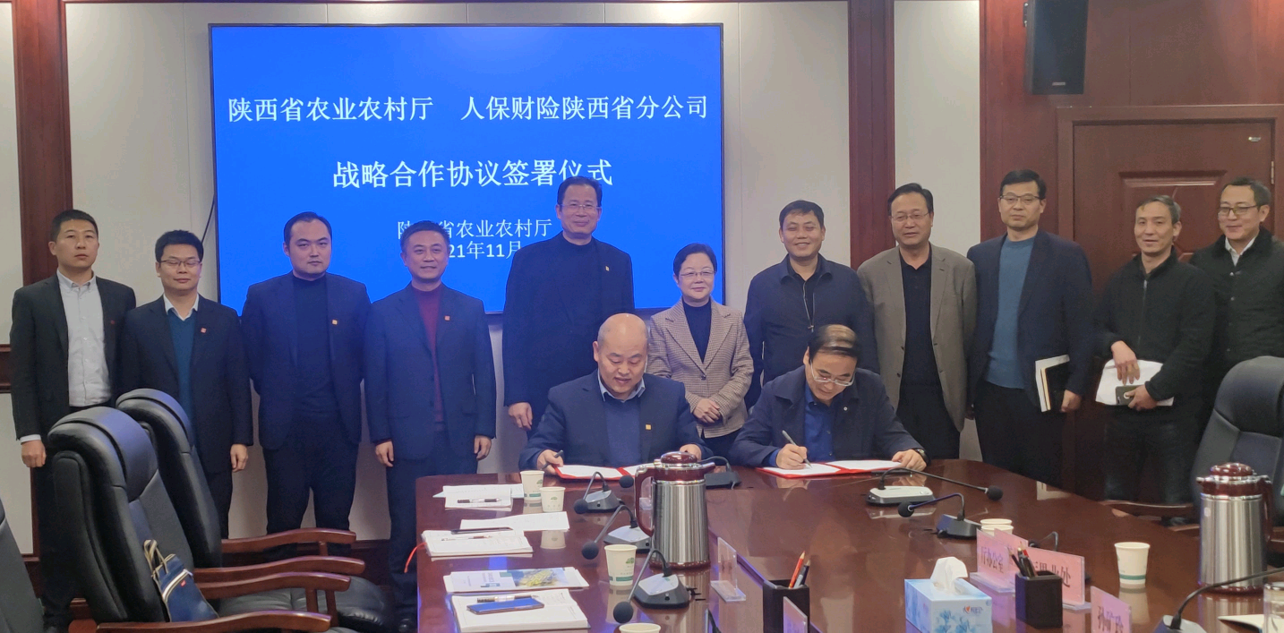 天富登录人保财险陕西分公司与陕西省农业农村厅签署战略合作协议