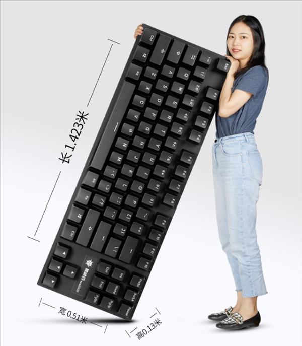 女生晒售价10万超大号键盘 网友：给巨人用的吗？