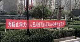 郑州一社区出“禁犬令” 法律学者：民意还要合乎法度