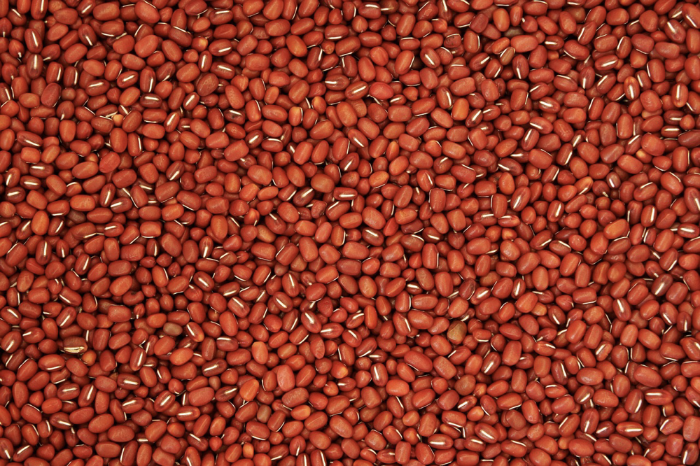 你吃的是红豆还是赤豆 养生功效可不同
