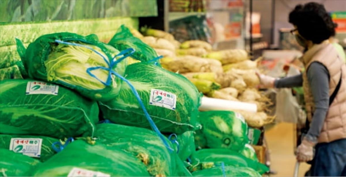 继“尿素荒”后韩国又现“泡菜危机”！一棵白菜25元，腌20棵泡菜成本近2000元