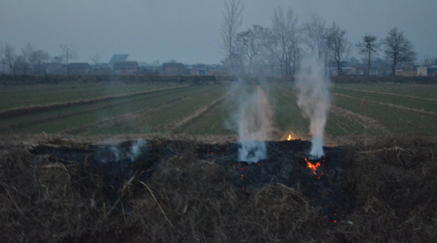 临渭区闫柳村垃圾村头堆，焚烧秸秆无人管！
