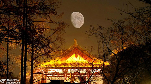 夜拍提升改造后的兴庆宫公园，夜景迷人！
