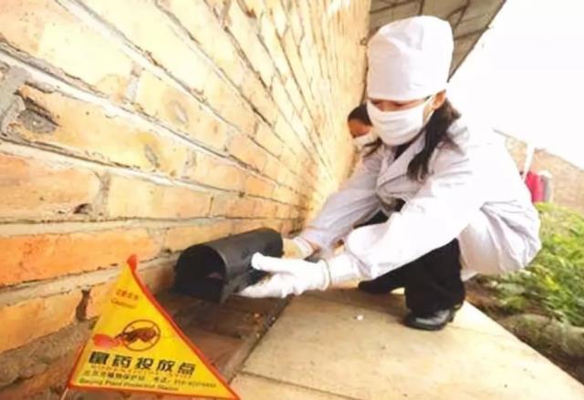 陕西省疾控中心：八成出血热病例为农民 灭鼠防鼠很关键