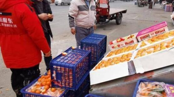 华商记者探访雨润农产品全球交易中心：货源充足 价格稳定