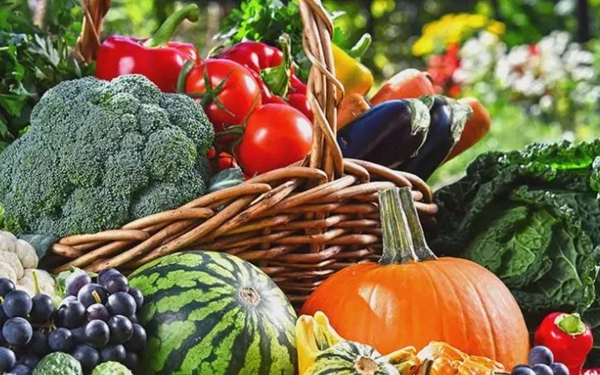 西安现有2.5万余吨储备蔬菜、11.5万亩在田蔬菜 保证春节期间市场供应