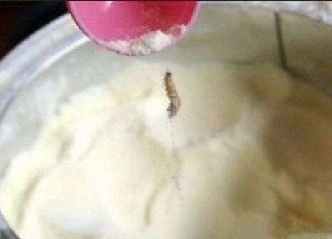 奶粉“驚現”活蟲 是粉的錯還是蟲的錯?