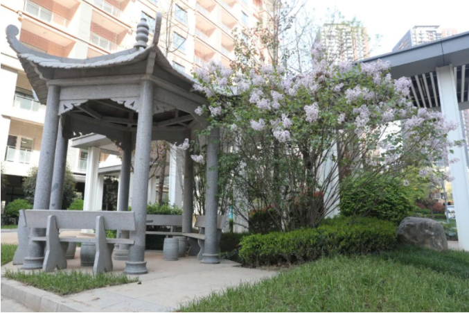 pnaIothWGFgudtpb.png image.png