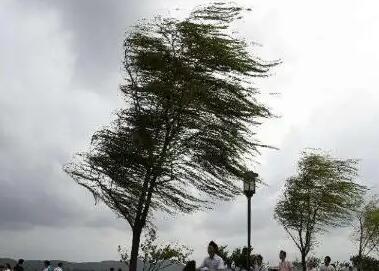陕西发布雷雨大风黄色预警 西安主城区或迎来7级以上阵风并伴有雷电