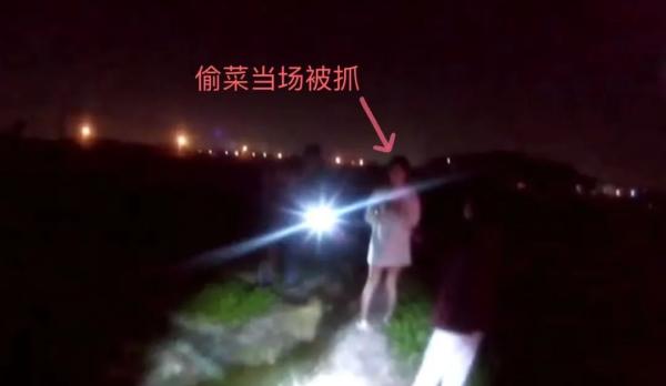 台州4女子寻刺激开保时捷去菜地偷菜一人当场被抓 均被行拘