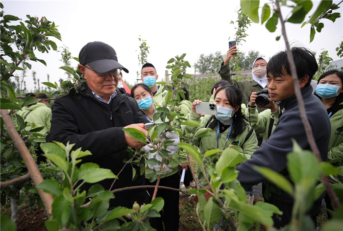 【乡村振兴东风劲】白水苹果试验站：让中国人都吃上带有国字号的好苹果
