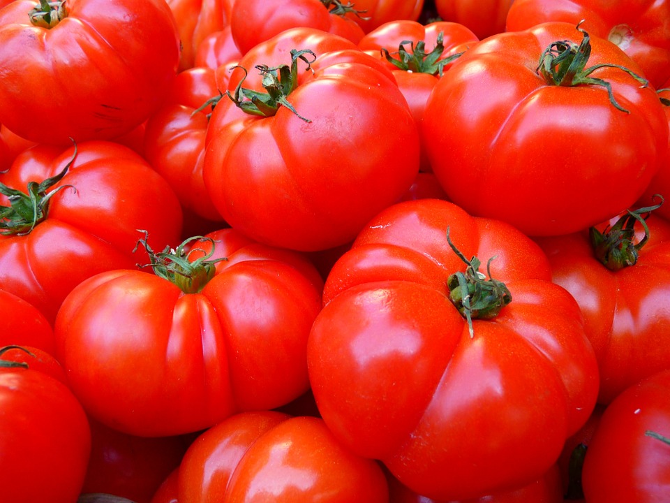西红柿是生吃好还是熟吃好？常吃西红柿会有这4大好处！