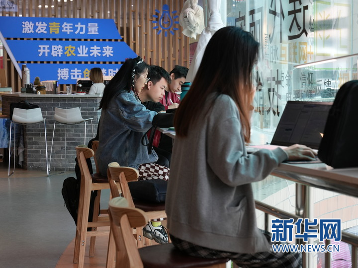 中国西北高校为学生打造农业特色创新创业平台