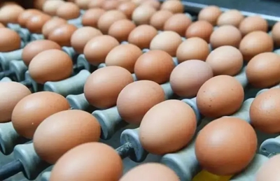 鸡蛋到底该怎么存放?这5个小细节要注意