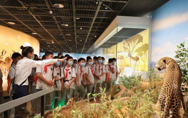陕西自然博物馆5.18免费开放 课堂搬进了博物馆