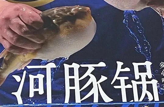 网友称吃河豚锅中毒 海底捞：产品系无中毒风险的食用级河豚