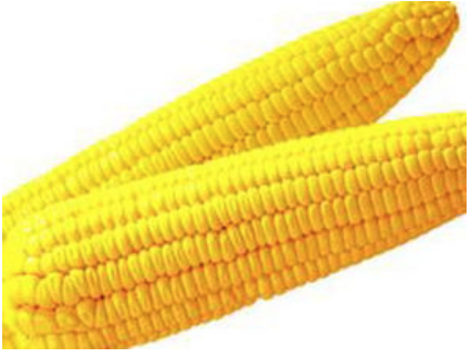 创纪录！玉米期货完成史上最大交割，超120万吨，什么原因？