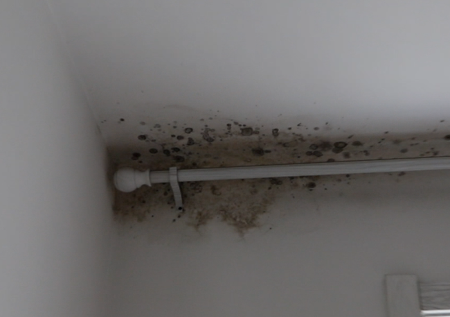 保利梧桐语小区业主屋顶漏水墙壁发霉 物业回应:将对漏水点进行检修