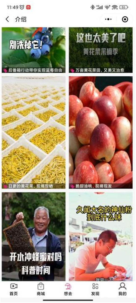 图片 7_副本.png