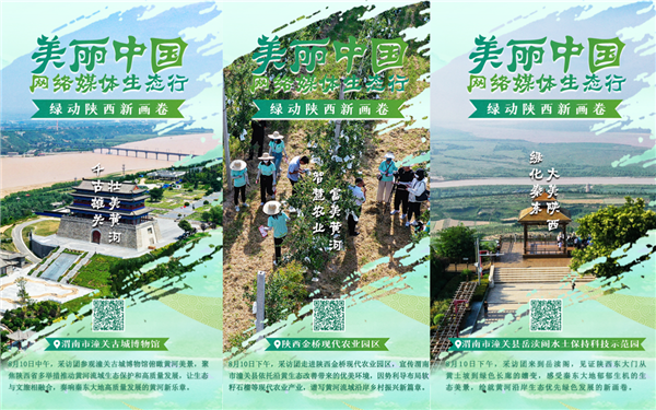 【海报】 美丽中国·网络媒体生态行|走进千古潼关一览黄河生态美景