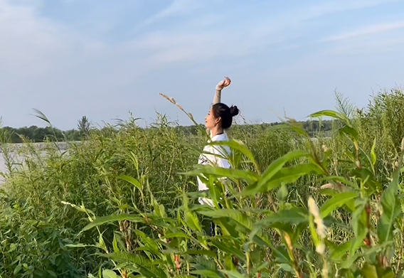 【见证vlog】陕西潼关黄河国家湿地公园——水草丰茂、美景如画