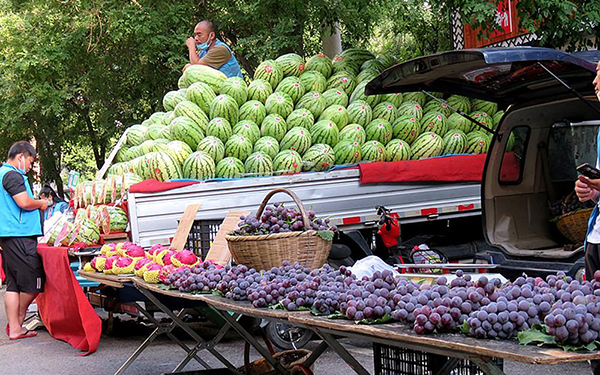 夏日实拍经九路早市：瓜果蔬菜货源充足“堆山头”