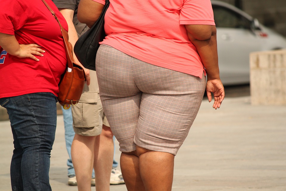 研究揭示不存在“健康的肥胖”