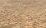 媒体：因持续干旱，鄱阳湖湖床裸露刮起“沙尘暴”