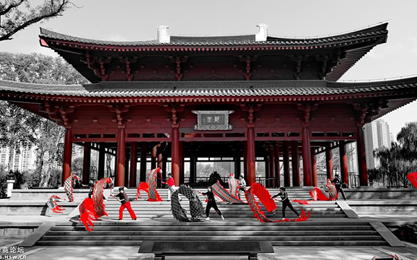 单色滤镜拍摄的兴庆宫公园
