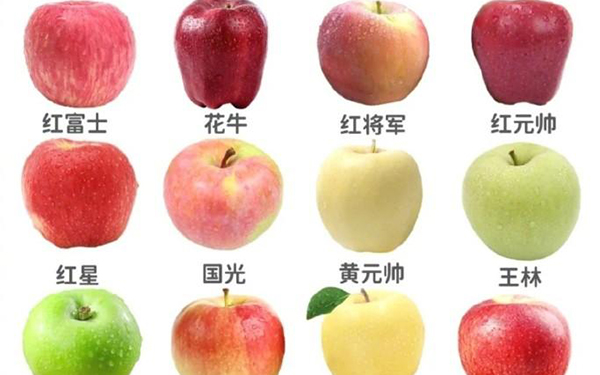 常见苹果的区别和口感，说说你最喜欢哪种？