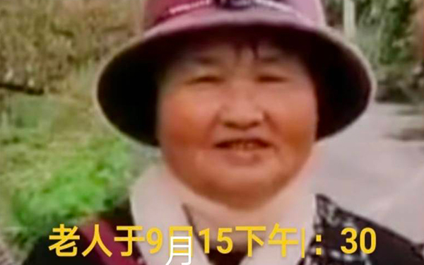 周至老人进山捡拾野生毛栗失联