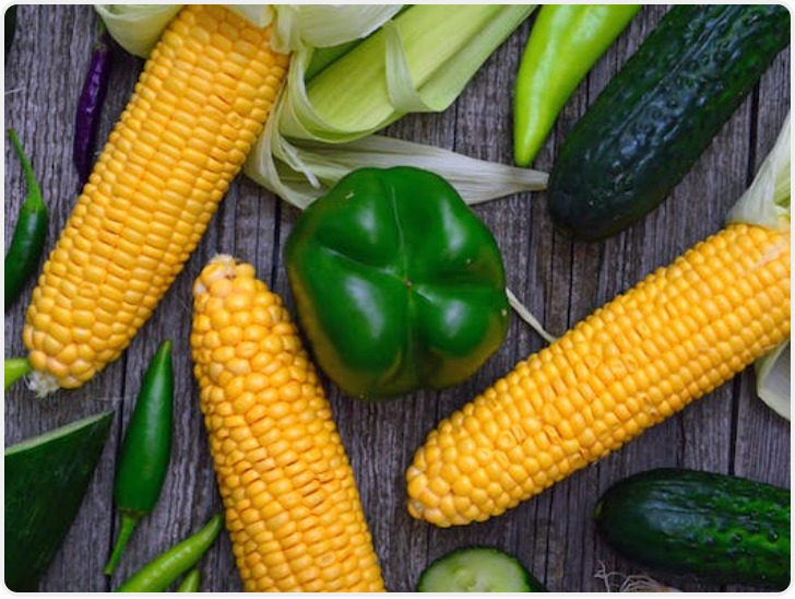 陕西合阳:劳动教育赋能学生全面发展