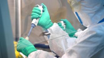 中国内地首次检出奥密克戎变异株BA.5.1.7进化分支