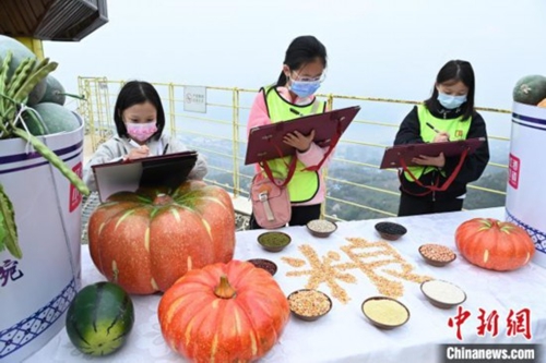 世界糧食日將至 重慶小學生繪畫呼吁“節約糧食 從我做起”