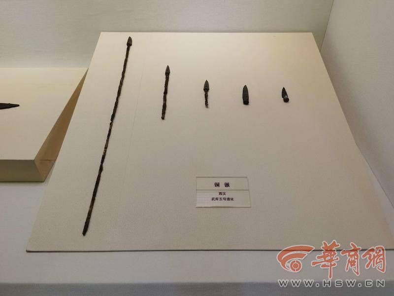 IMG_20221010_121909.jpg IMG_20221010_121909.jpg